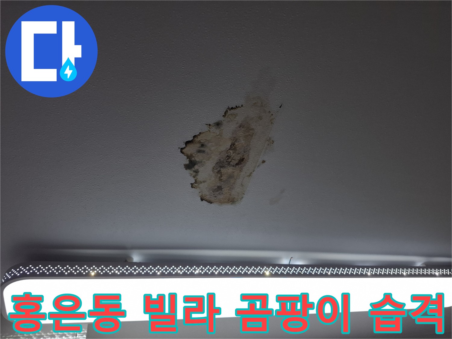 젖은 천장과 곰팡이 - 빌라 누수의 심각한 흔적