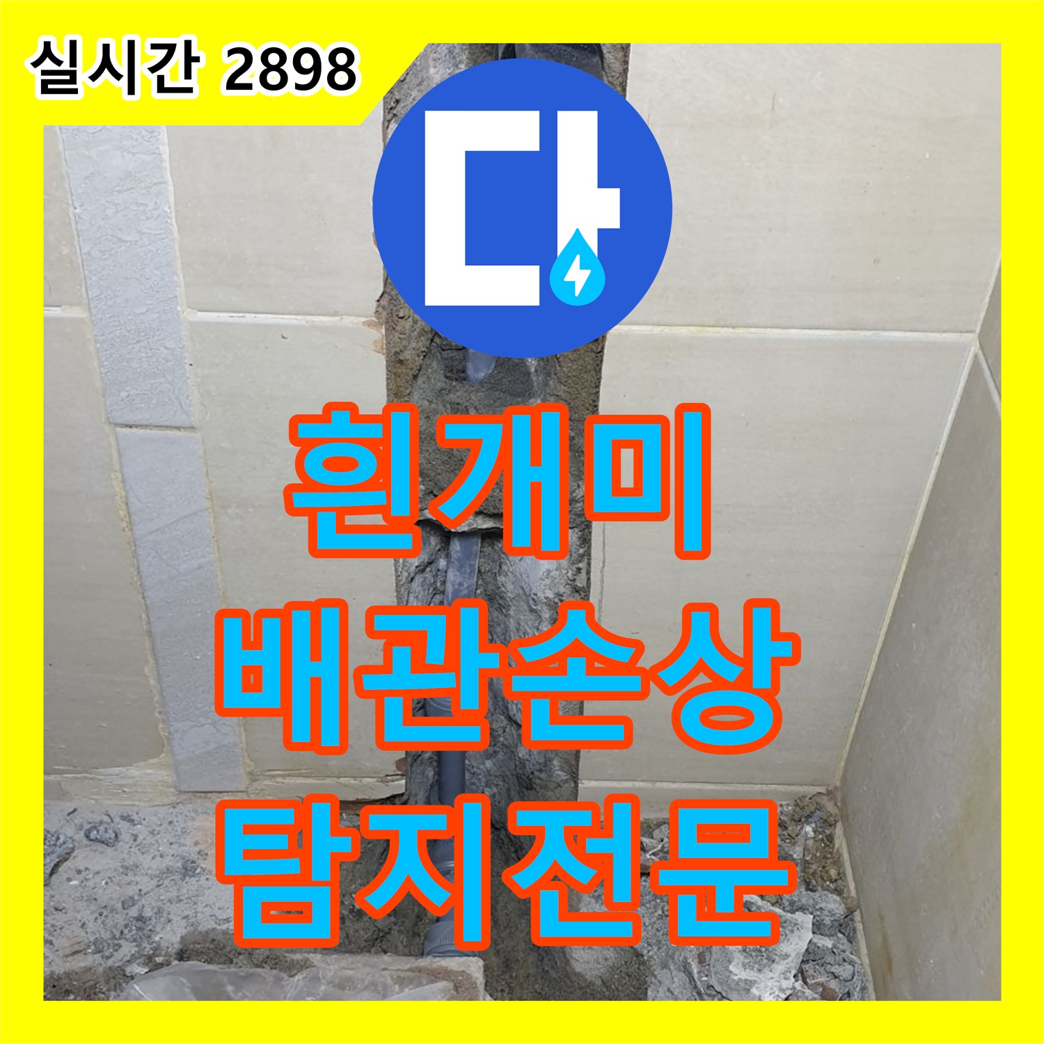 누수탐지전문, 의정부 장암동 흰개미로 인한 배관 손상 누수 해결