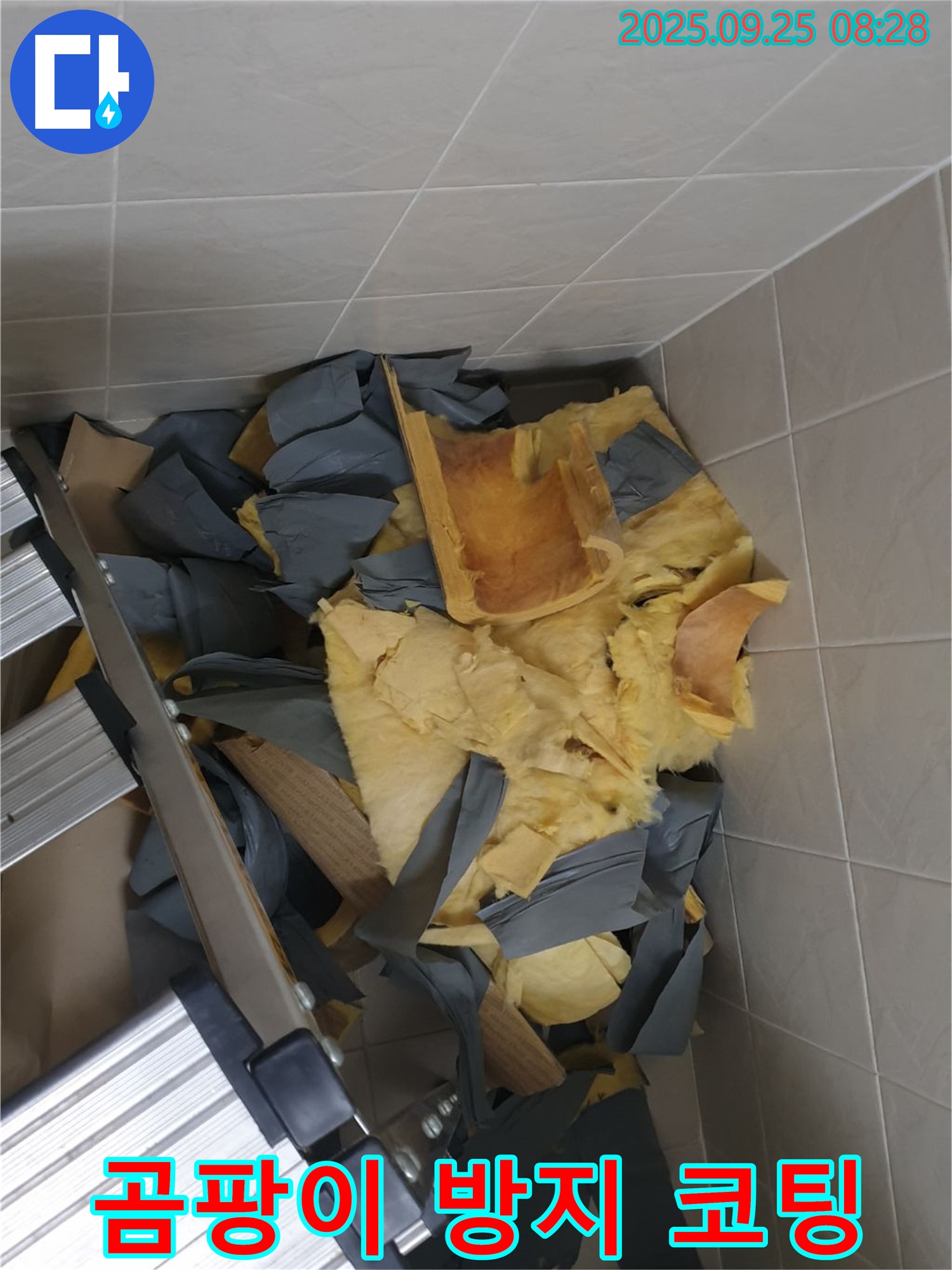 광적면 누수 현장 - 젖은 욕실 천장 단열재를 완벽하게 제거하고 곰팡이 방지 코팅으로 마무리하는 모습