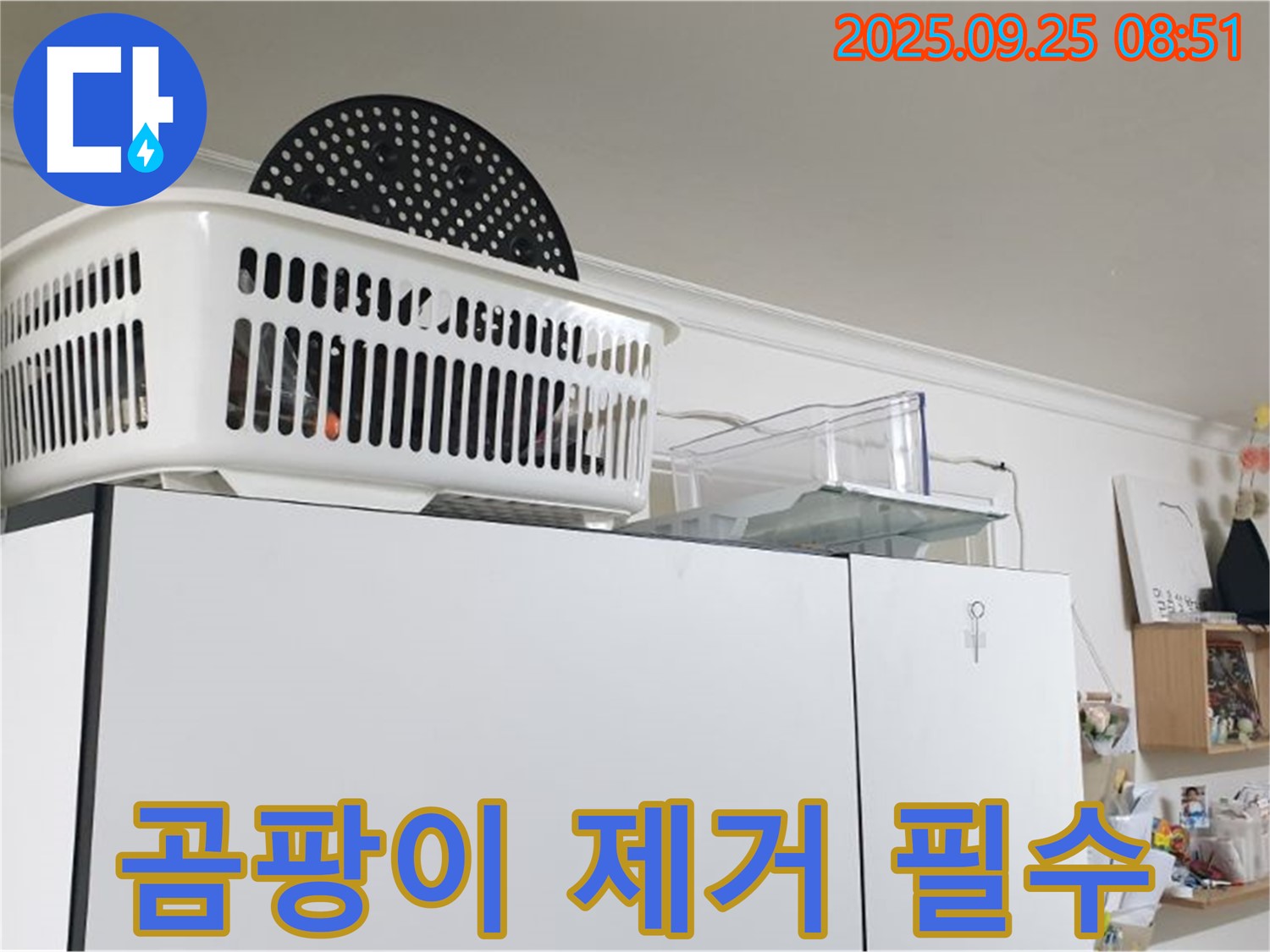 양주시 냉장고 위 누수 - 누수 해결 후, 곰팡이 제거는 필수입니다!