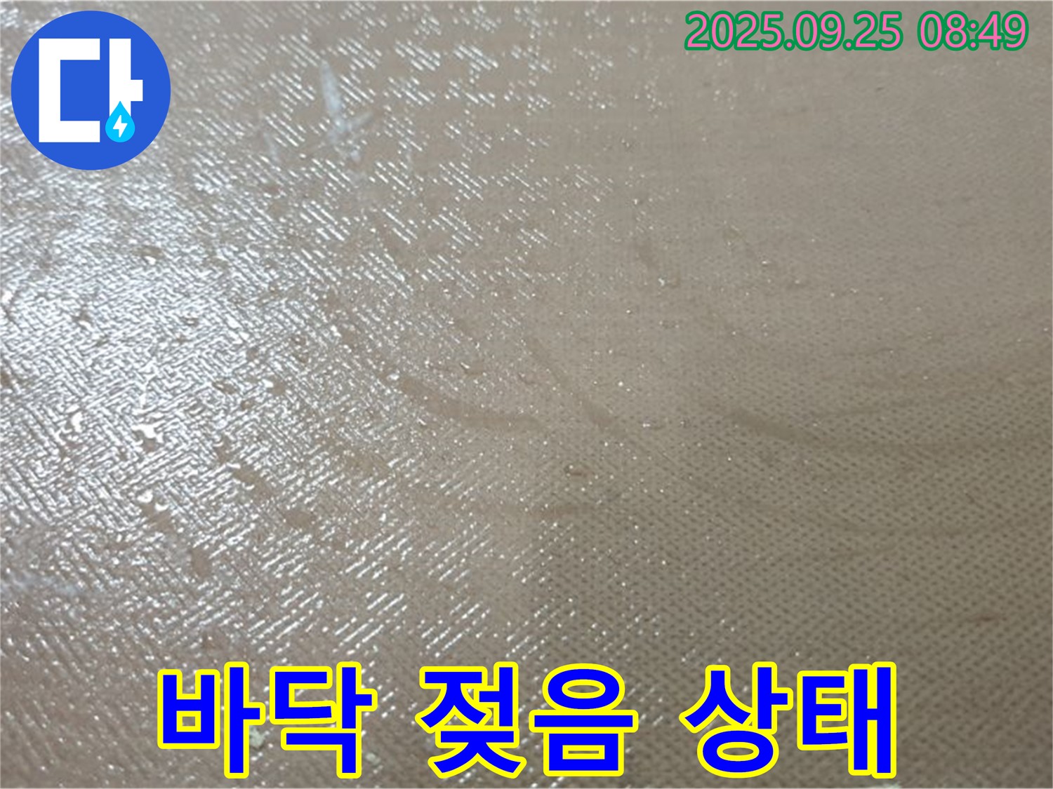 양주시 백석읍 연곡리 누수 - 바닥 젖음 상태, 첨단 장비로 숨은 누수까지 찾아 완벽하게 해결합니다.