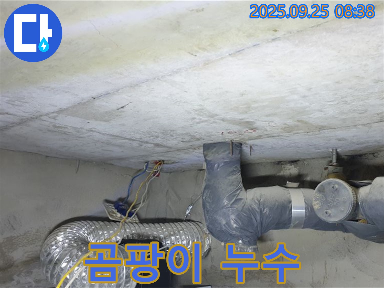 양주시 백석읍 연곡리 누수 - 콘크리트 천장 곰팡이 꽃 피기 전에