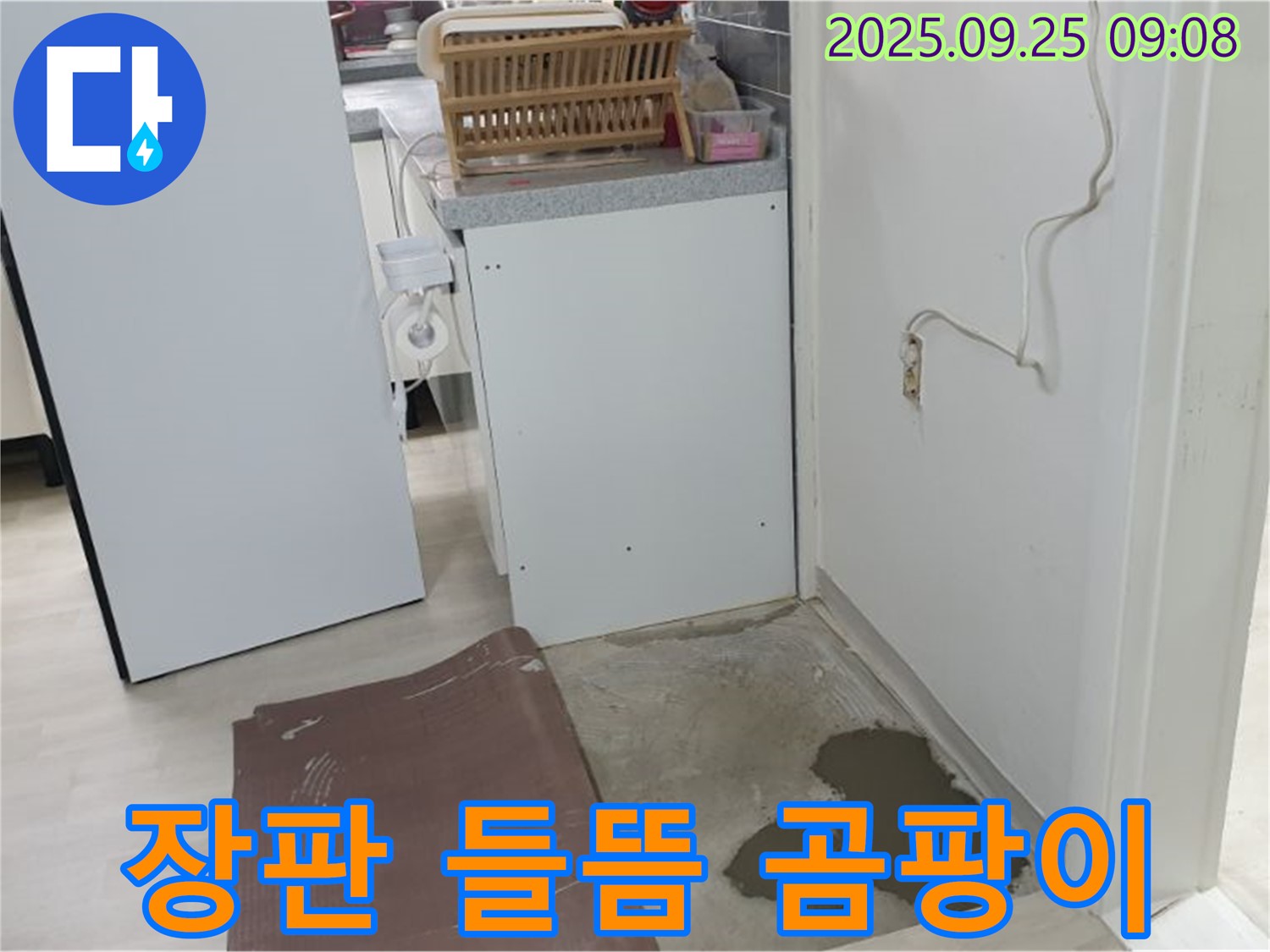양주시 백석읍 연곡리 누수 현장 - 장판이 들뜨고 곰팡이가 발생했습니다. 즉시 점검이 필요합니다.