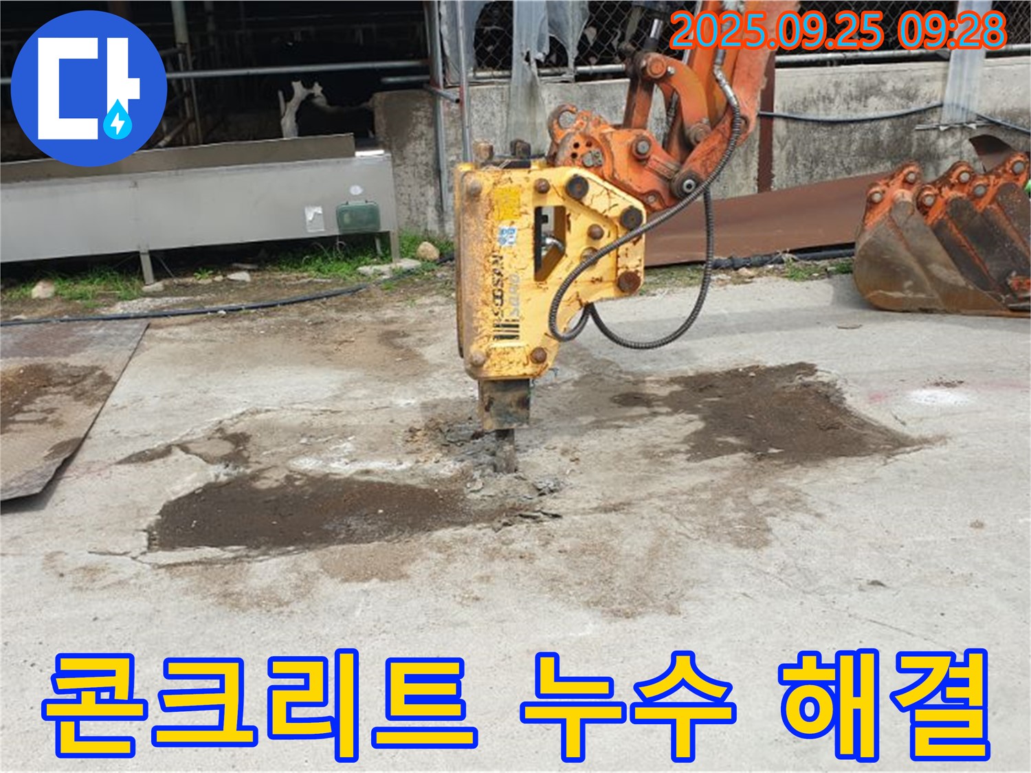 양주시 백석읍 복지리 누수 - 콘크리트 속 숨은 누수까지 완벽 해결