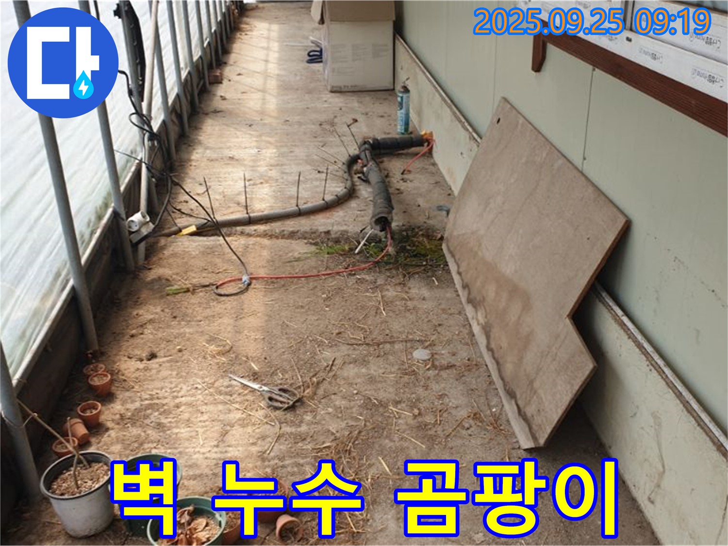 양주시 백석읍 복지리 - 벽 누수, 곰팡이와 결로 문제 해결