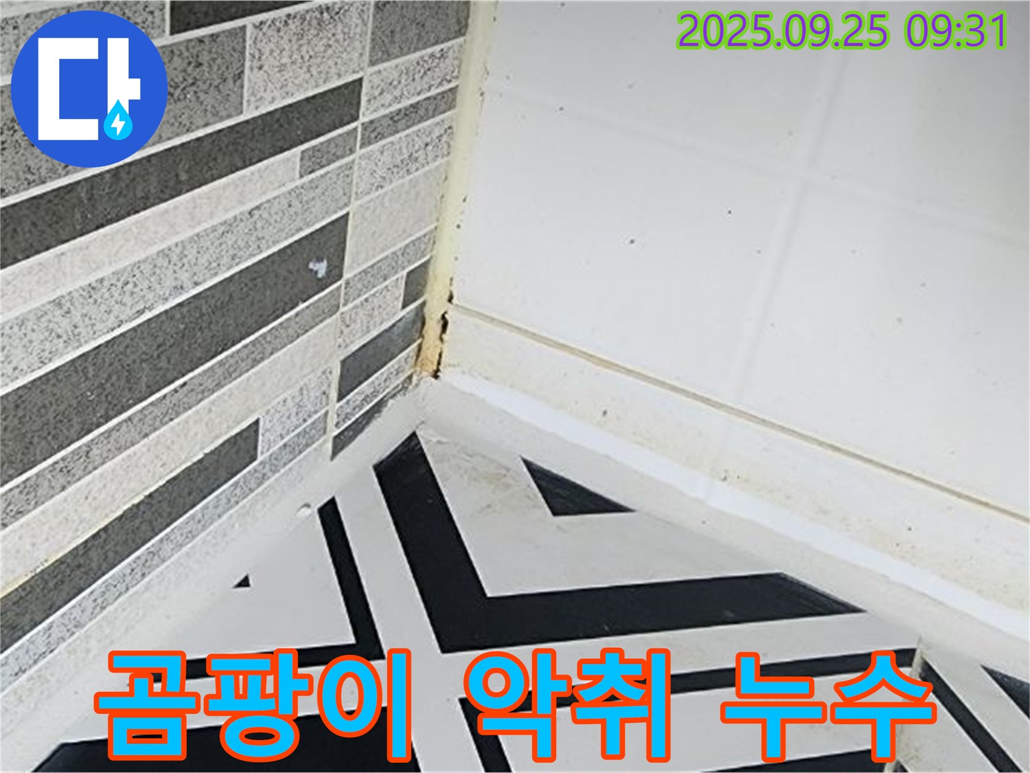 양주시 백석 - 곰팡이가 번식하여 악취가 나는 욕실 - 스트레스 유발