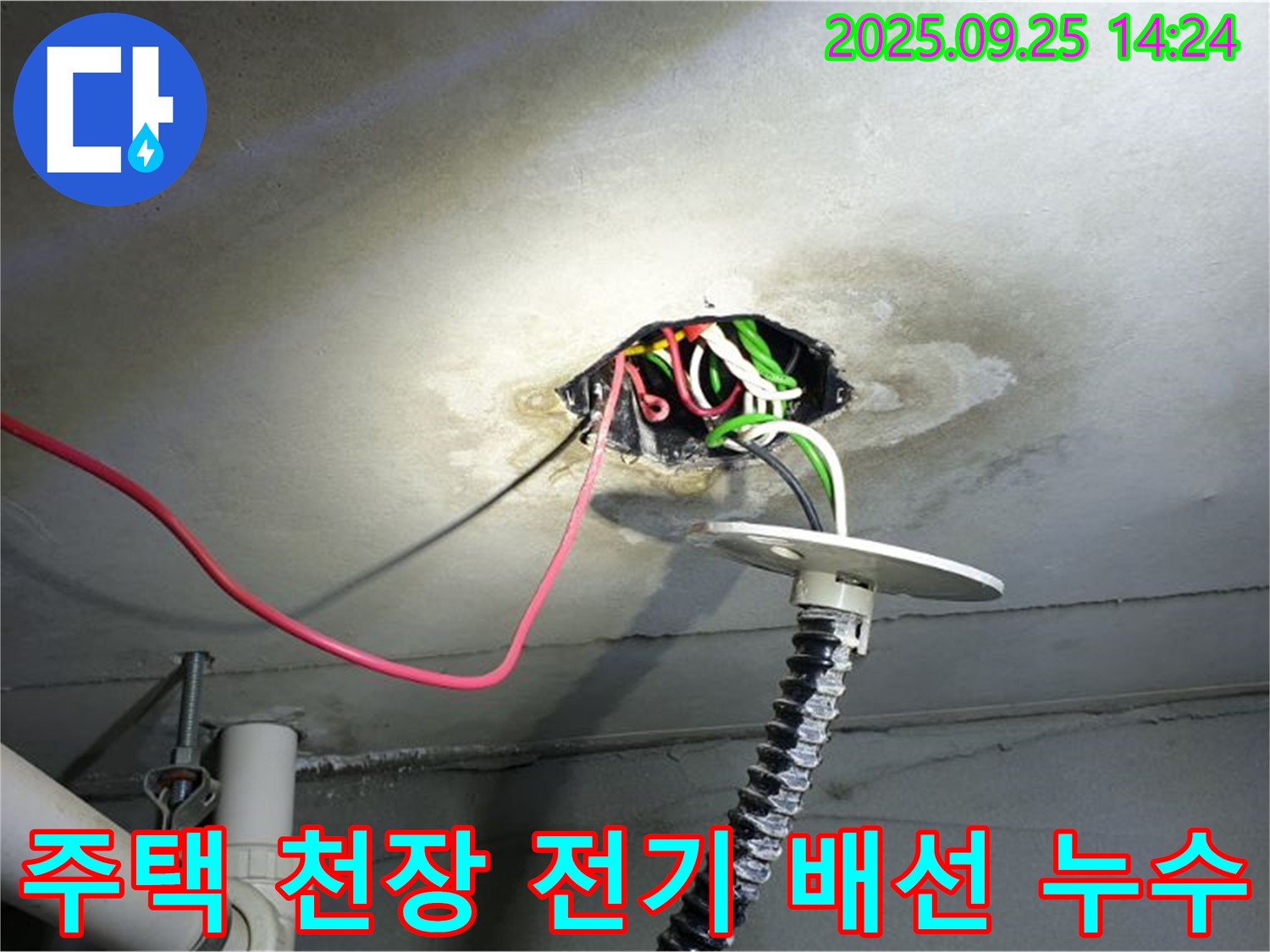 의정부 누수 - 의정부1동 주택 천장 전기 배선 누수 발생 지점 꼼꼼한 점검