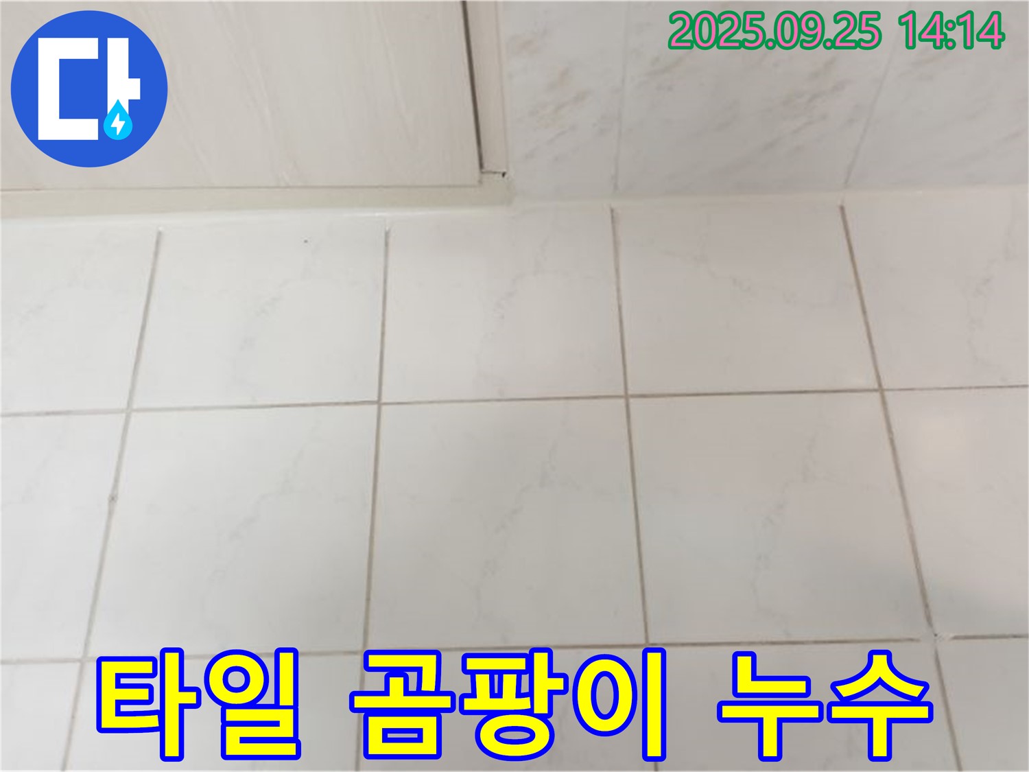 의정부 타일 누수 - 곰팡이 발생과 누수의 상관관계 분석