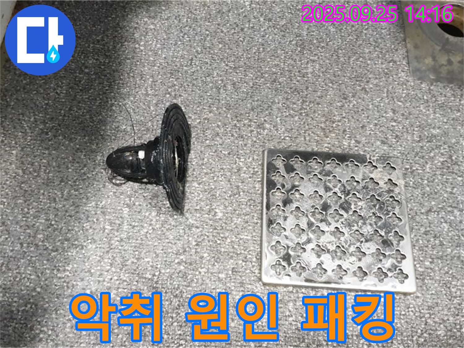 의정부2동 욕실 배수구 악취 - 원인은 낡은 고무 패킹!