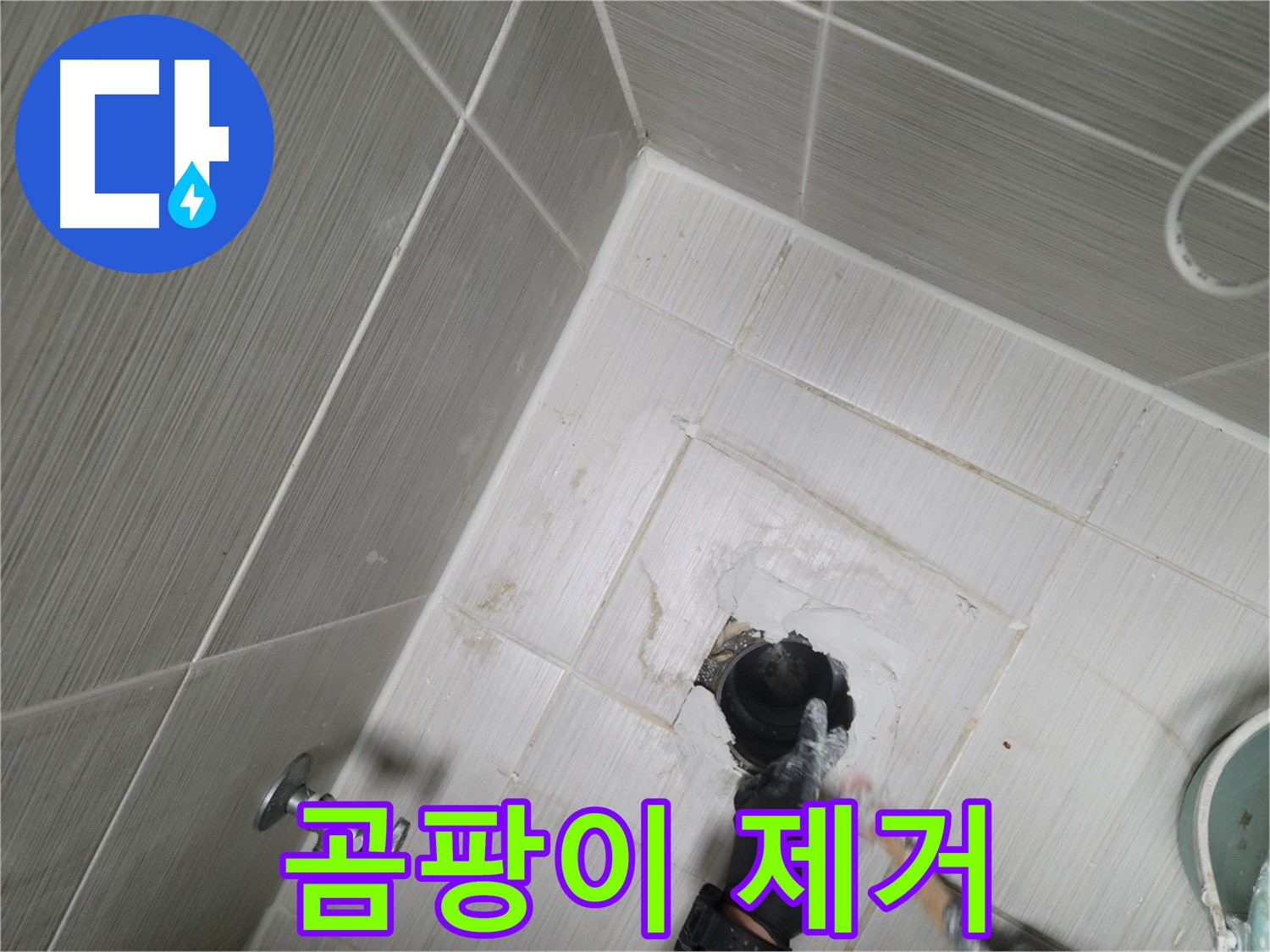 동두천 누수 - 욕실 하수구 주변 곰팡이 제거 및 누수 해결
