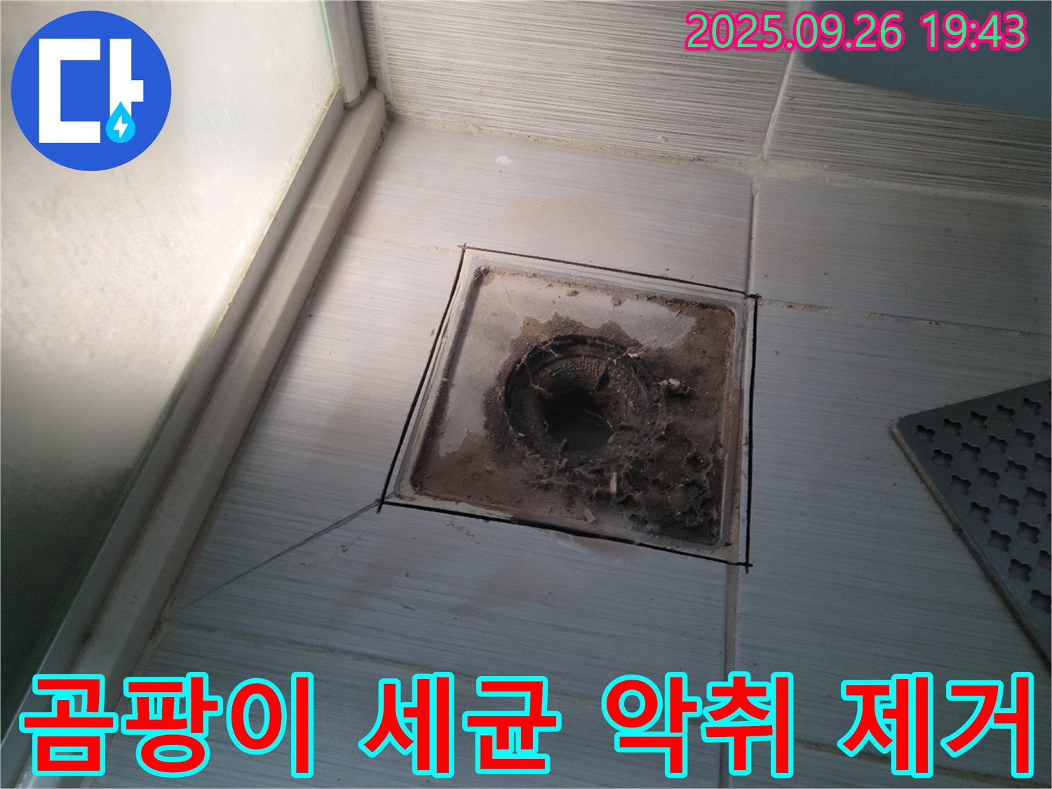 동두천 누수 전문 업체에서 - 욕실 배수구 곰팡이, 세균, 악취를 제거하는 모습 - 깨끗한 욕실로 변신!