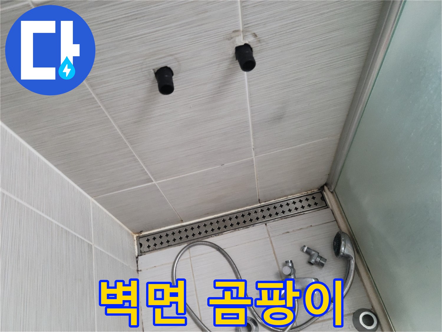 동두천 신창동 - 샤워기 주변 벽면의 곰팡이 - 곰팡이는 습기와 누수의 합작품!