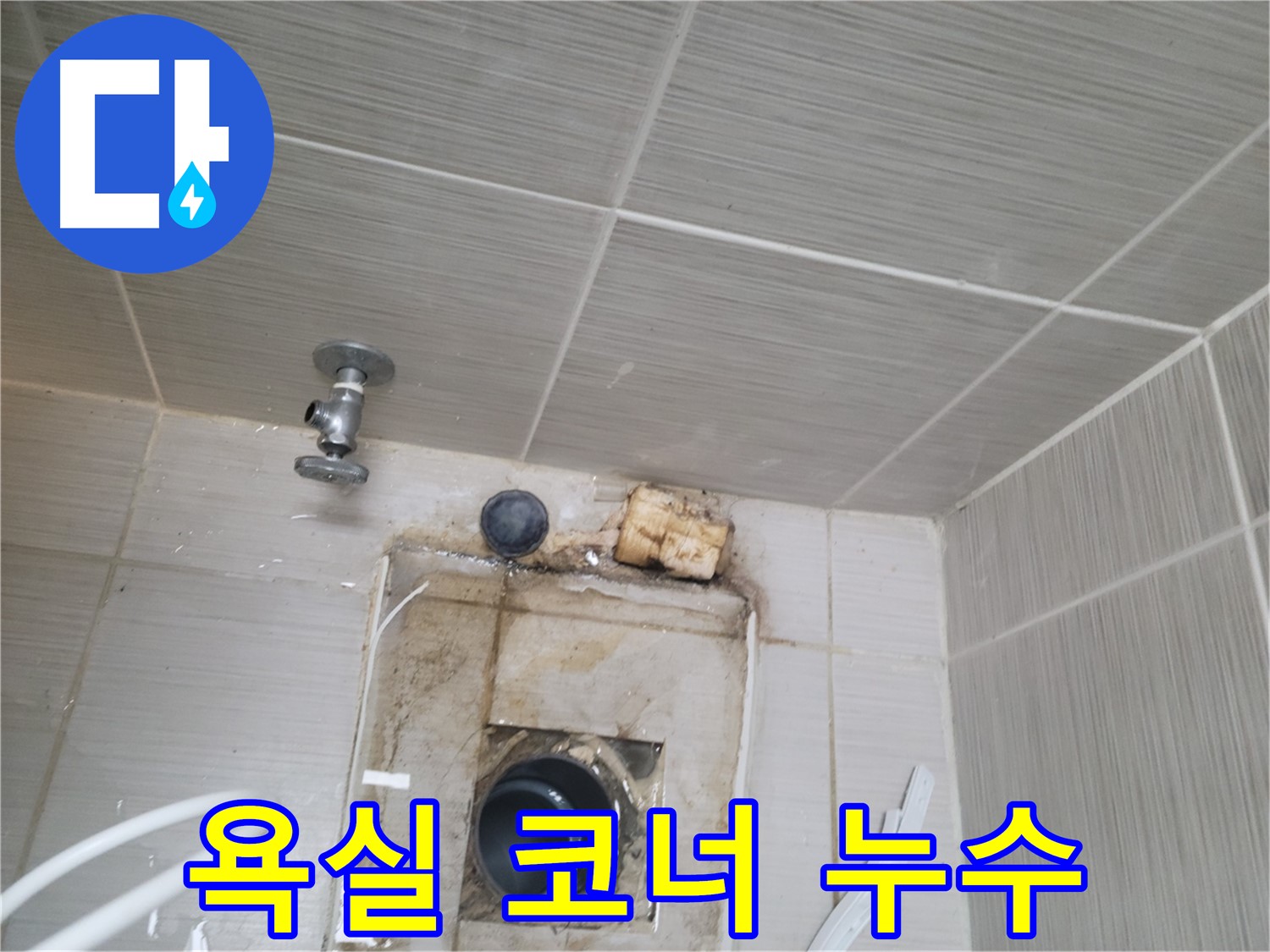동두천 신창비바패밀리-2단지 욕실 코너 누수 및 곰팡이 심각