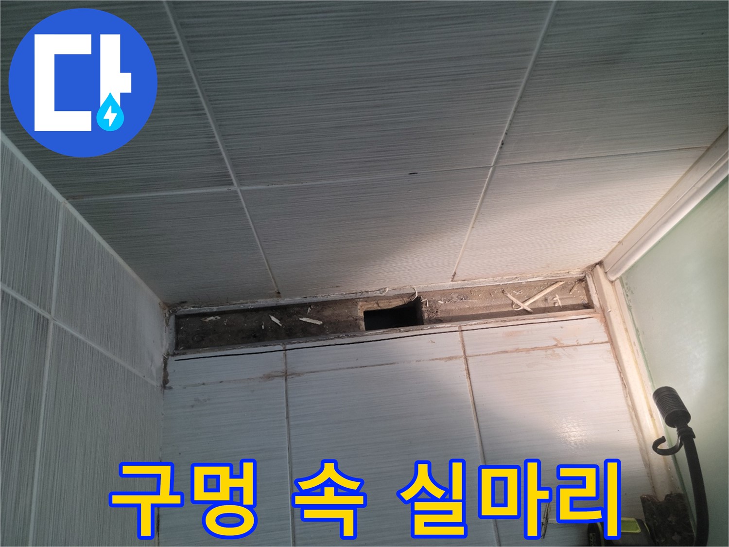 동두천 신창비바패밀리 욕실 천장 누수 - 구멍 속에서 누수 해결의 실마리 발견