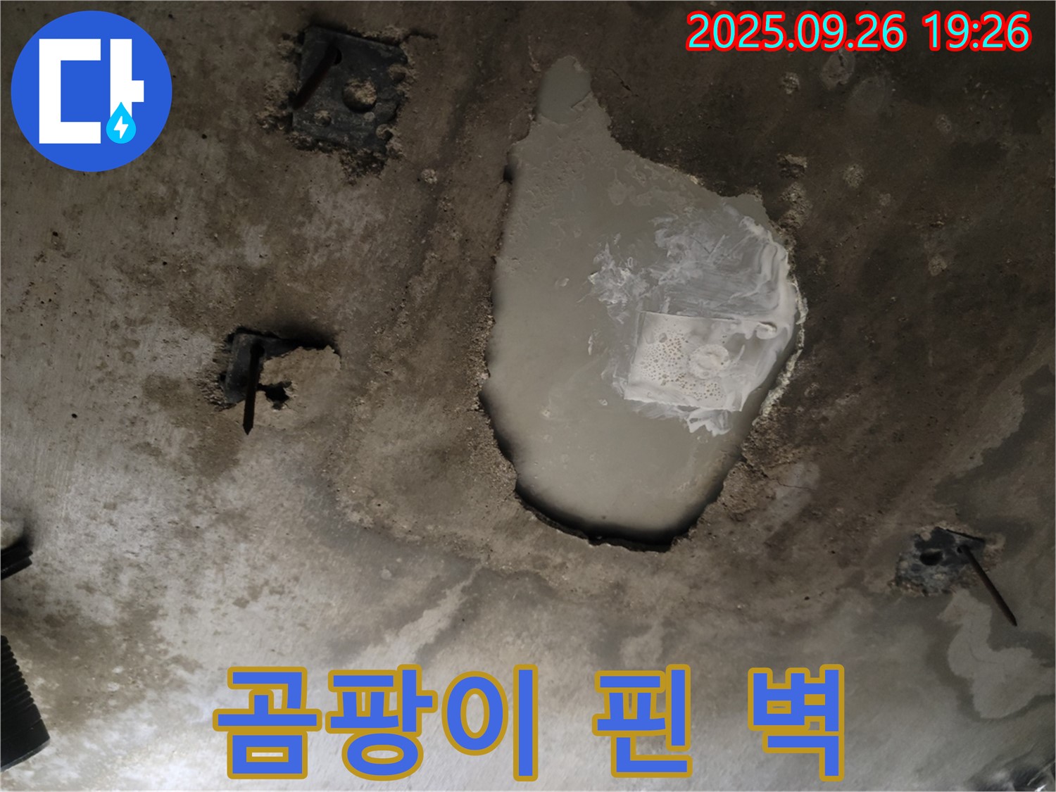 동두천 지행동 누수 현장 - 곰팡이 꽃 핀 벽 - 누수 해결 & 곰팡이 제거