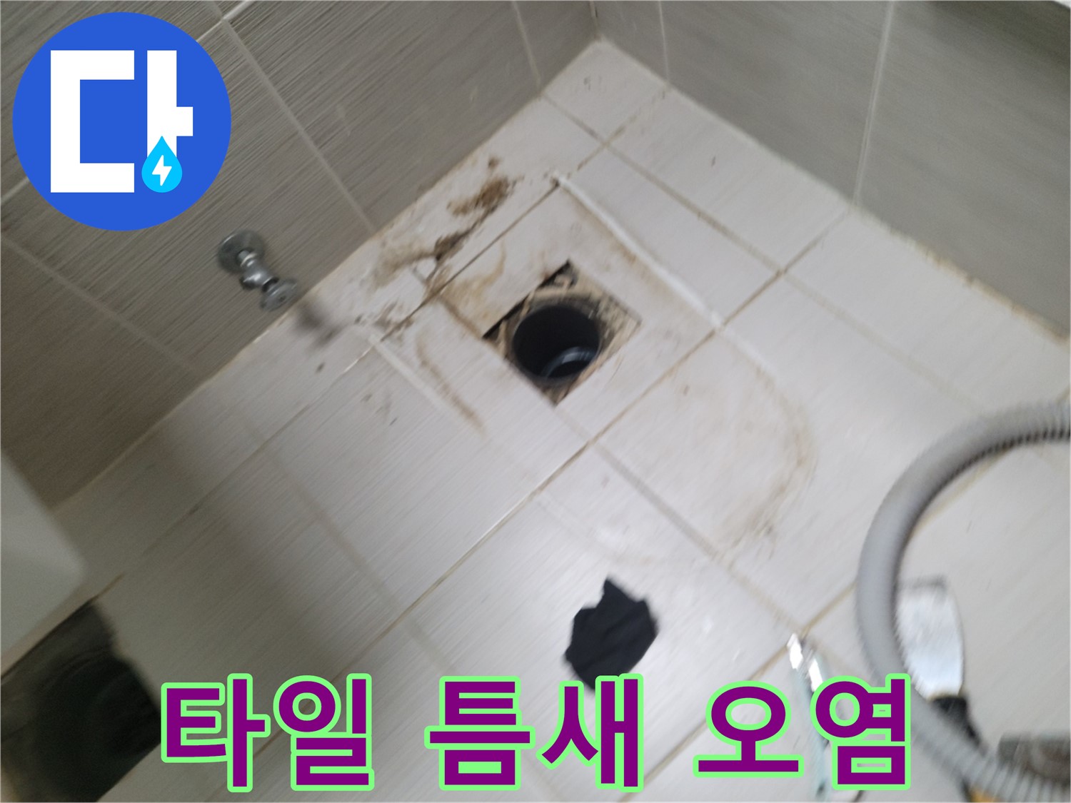 동두천시 불현동 - 욕실 하수구 주변 타일 틈새 오염 - 누수 의심