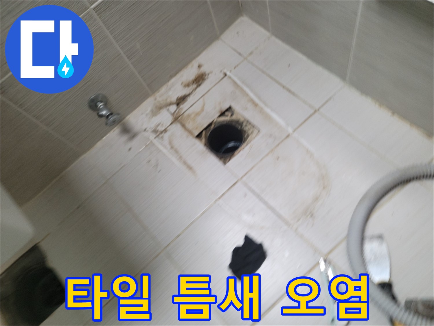 동두천시 생연동 - 욕실 하수구 주변 타일 틈새 오염 - 누수 의심