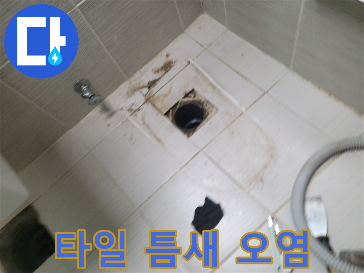 동두천시 이담동 - 욕실 하수구 주변 타일 틈새 오염 - 누수 의심