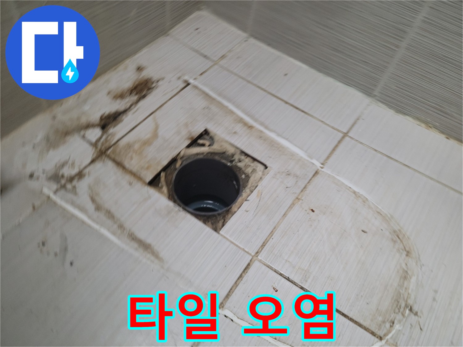 배수구 주변 - 타일 오염 집중 분석