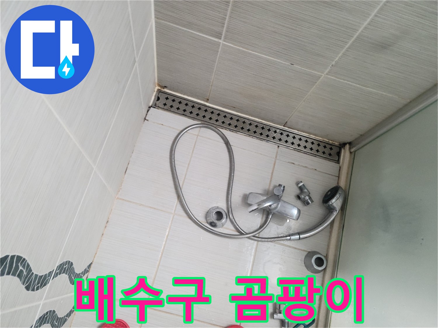 샤워기 배수구 주변 곰팡이 오염 - 불쾌함