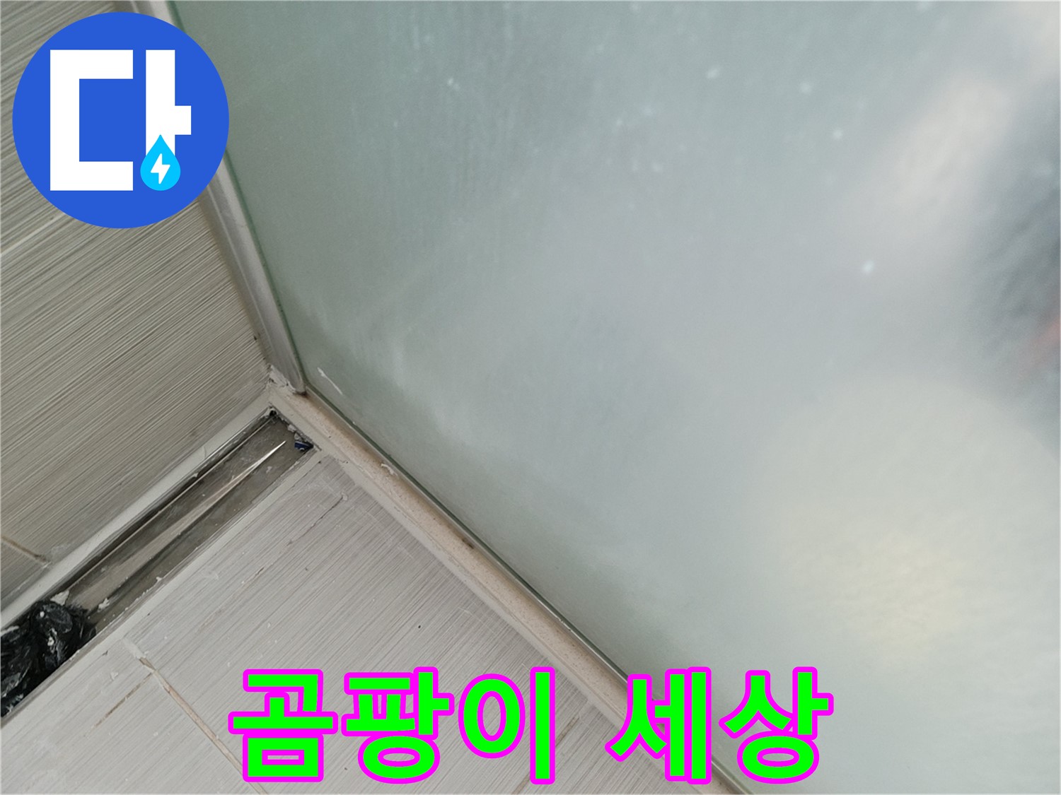 샤워부스 누수 - 곰팡이 세상 - 실리콘 들뜸