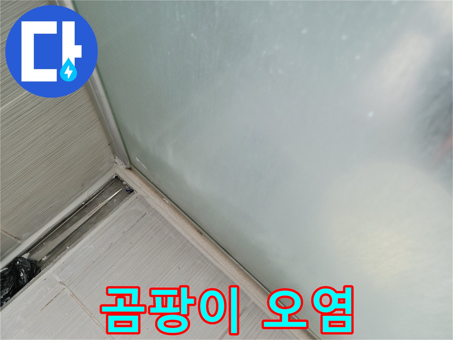 샤워부스 누수 - 곰팡이 오염 - 실리콘 손상