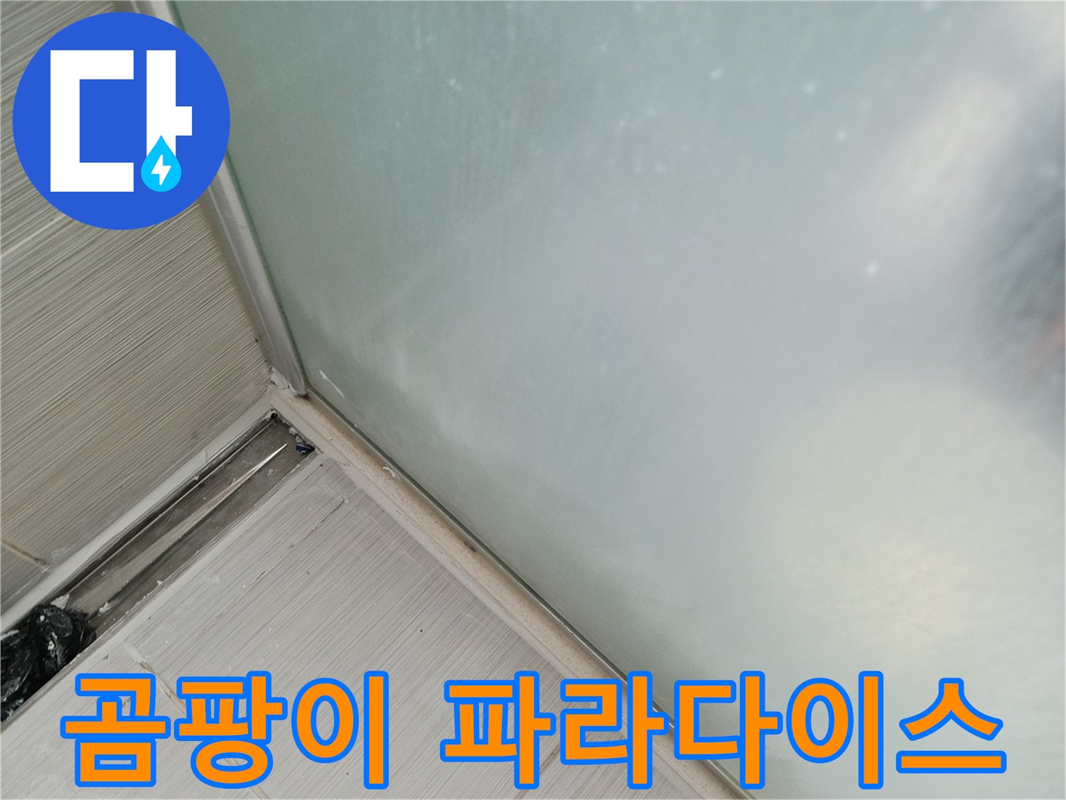 샤워부스 누수 - 곰팡이 - 파라다이스