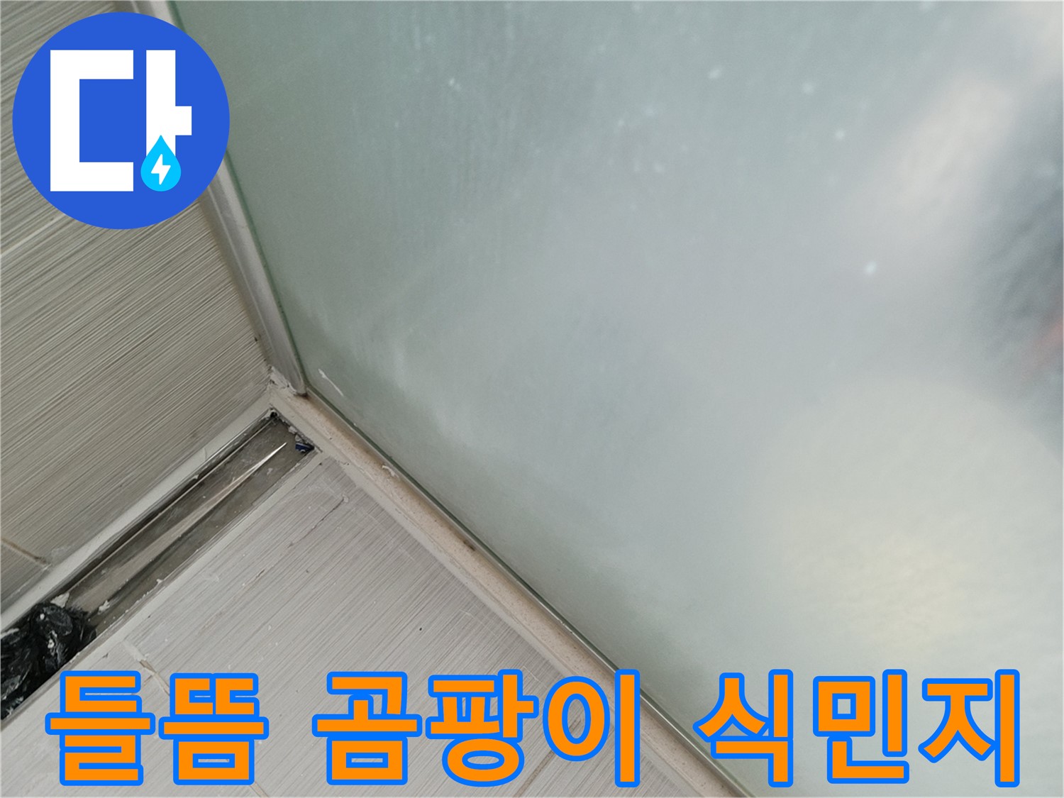 샤워부스 누수 - 들뜸 - 곰팡이 식민지