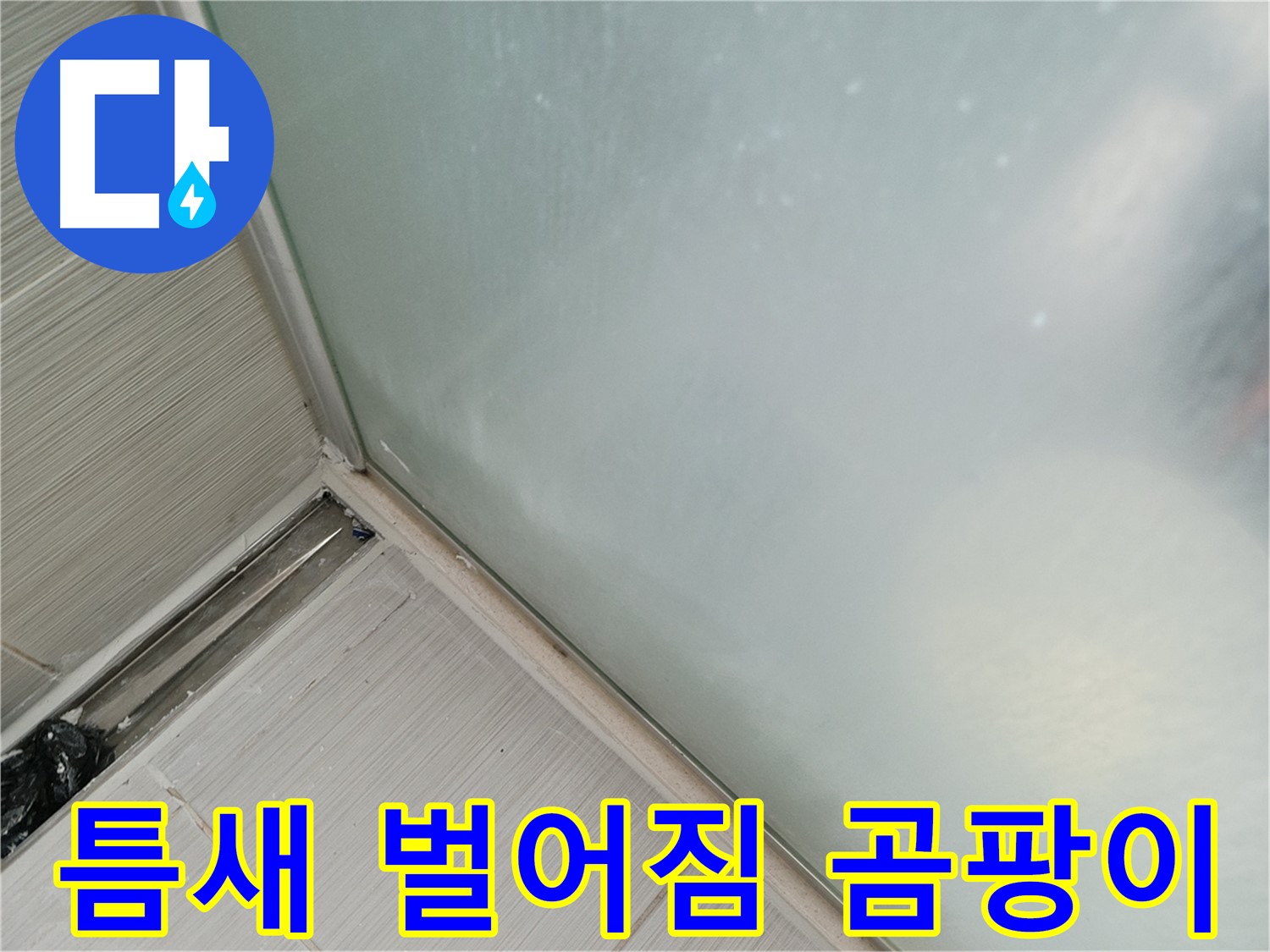 샤워부스 누수 - 틈새 벌어짐 - 곰팡이 서식