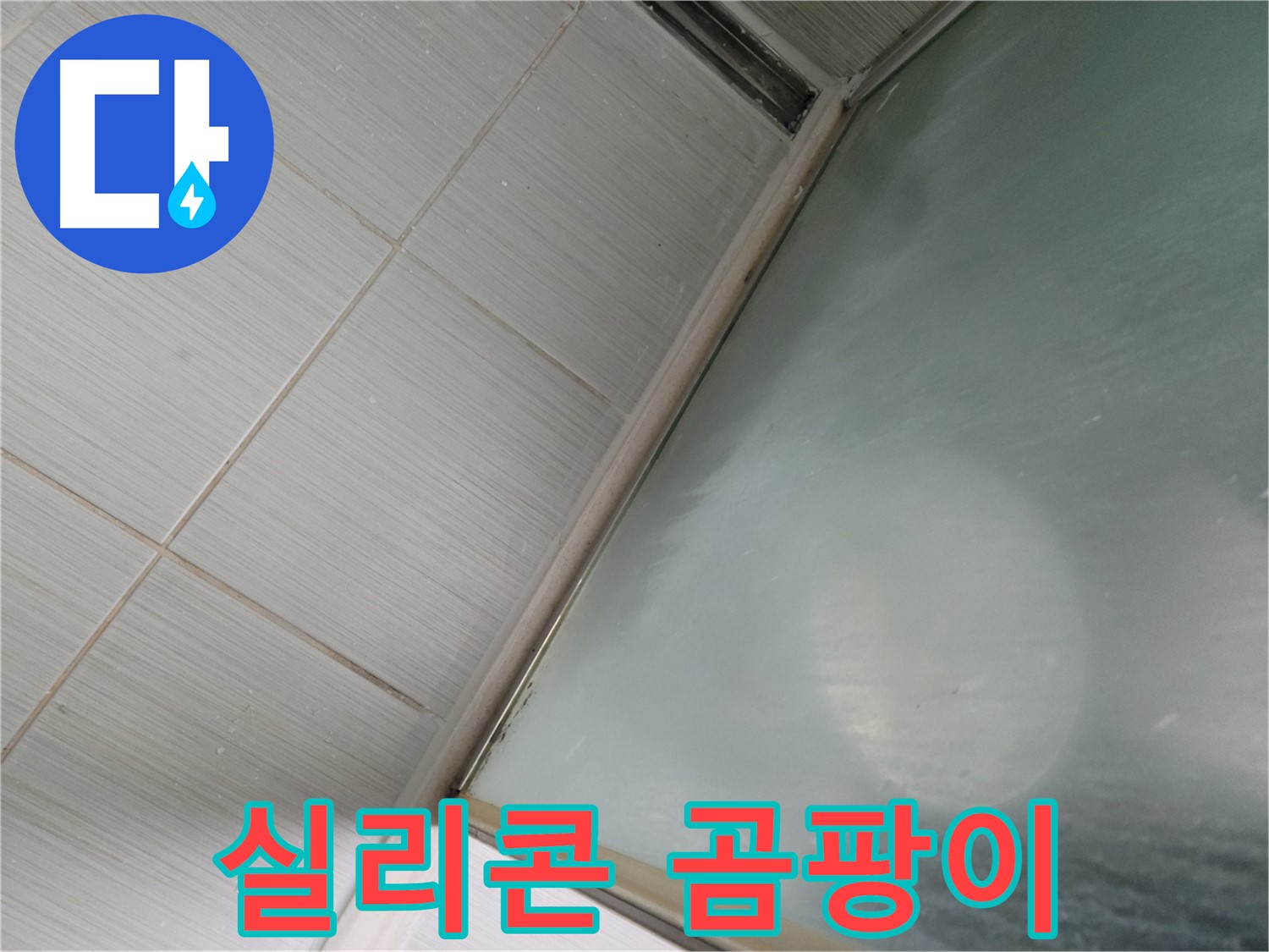 샤워부스 실리콘 곰팡이 - 동두천 누수 전문가가 누수 여부를 정확하게 진단합니다.