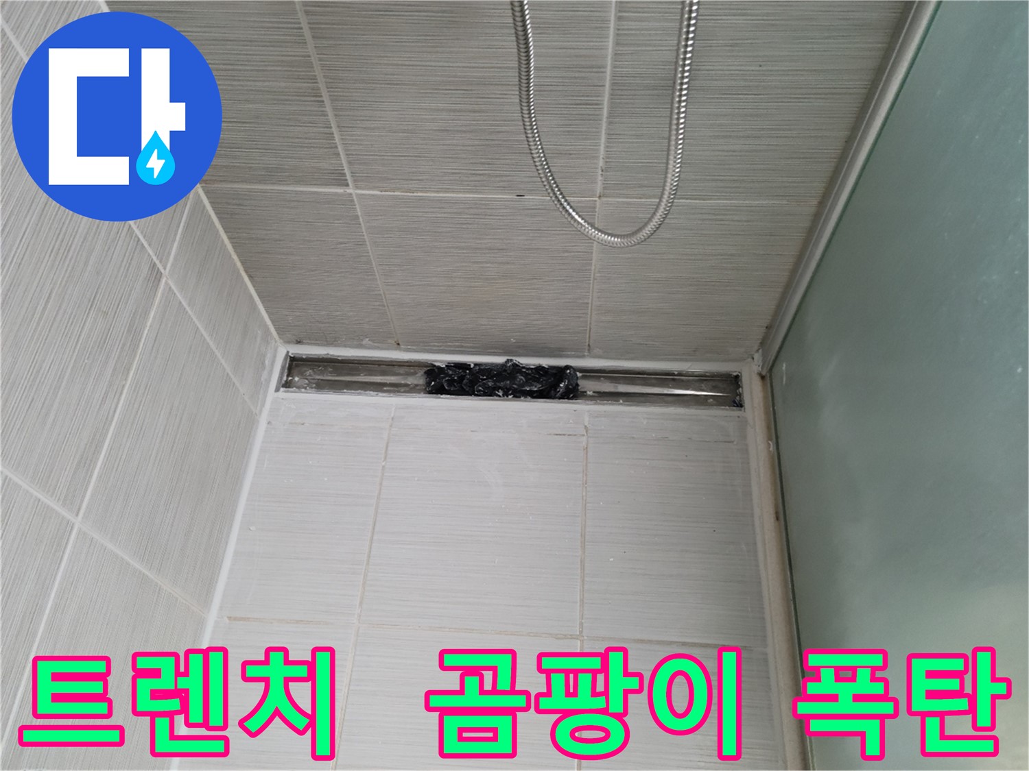 샤워부스 트렌치 - 곰팡이 폭탄 - 건강 적신호!
