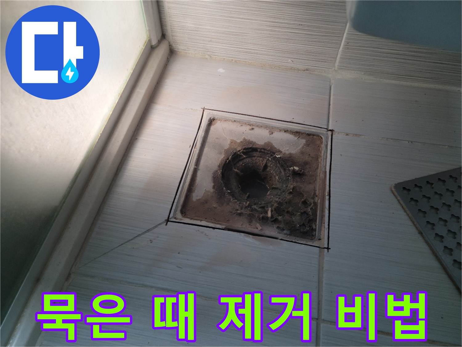 신창비바패밀리 욕실 배수구 - 묵은 때 완벽 제거 비법 공개!