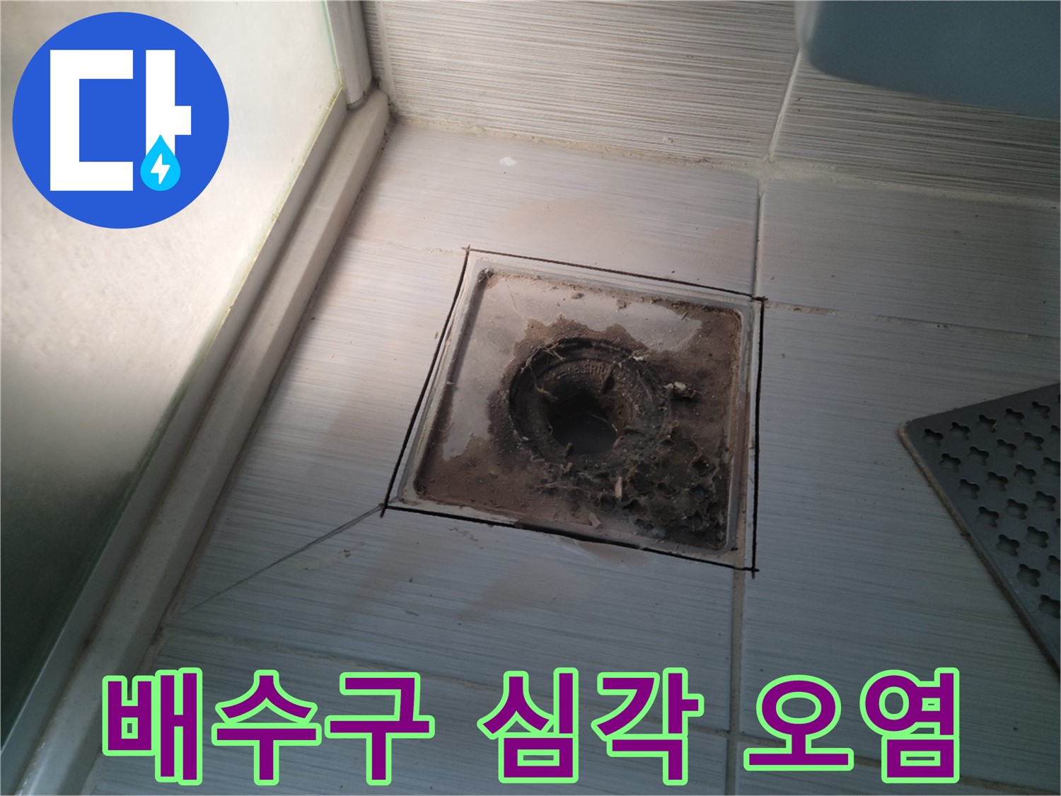 신창비바패밀리 욕실 배수구 - 심각한 오염, 누수 비상!