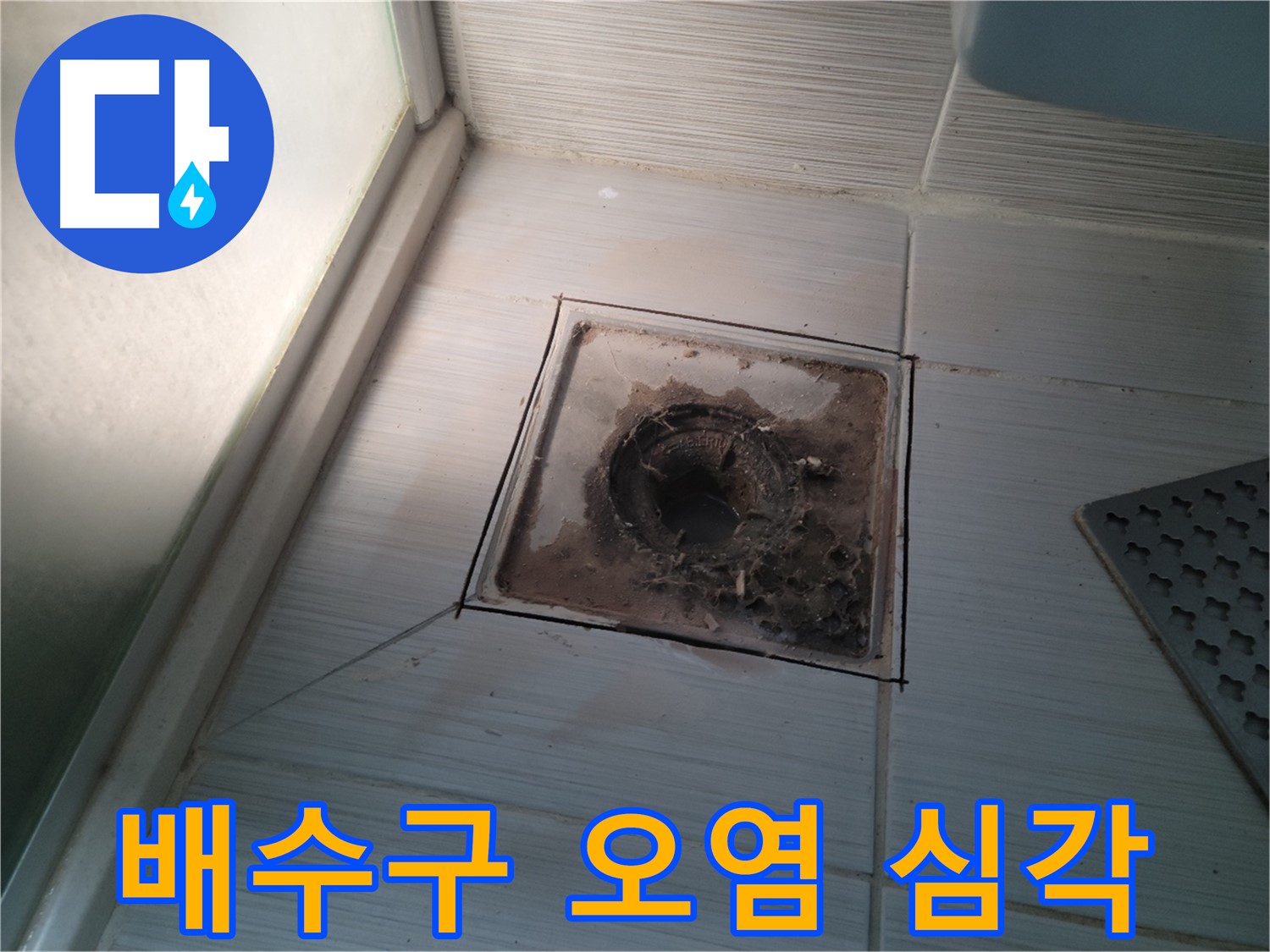 신창비바패밀리 욕실 배수구 - 오염 심각, 누수 비상!