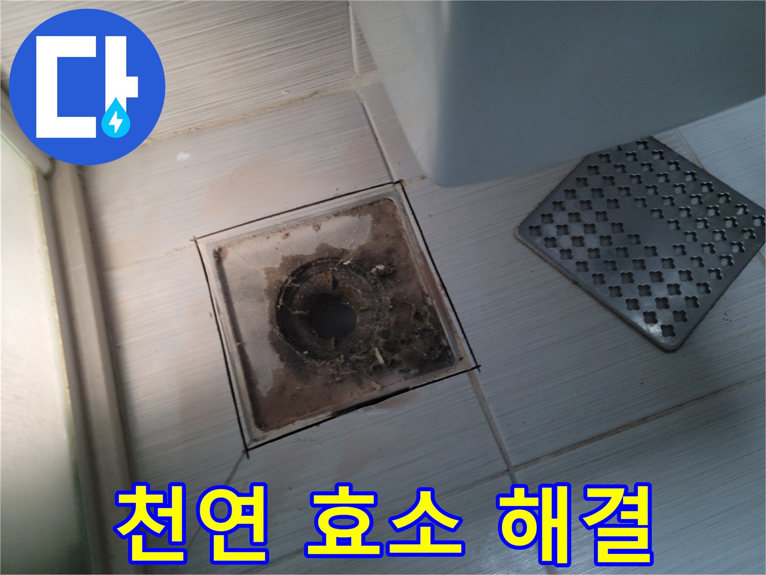 욕실 배수구 - 천연 효소 세정제 - 안심 시공