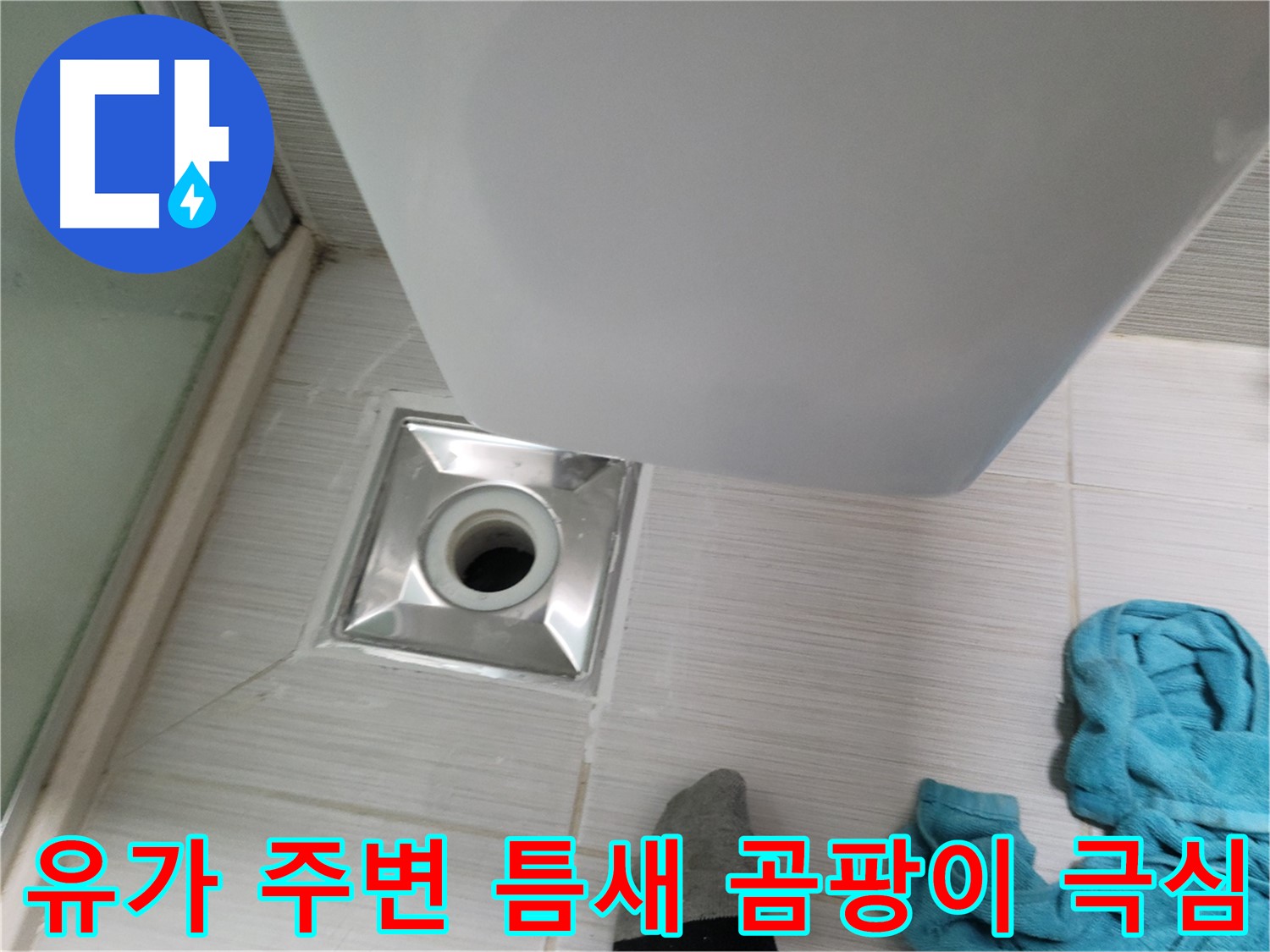 욕실 유가 주변 타일 틈새 곰팡이 극심 - 건강에 치명적 - 즉시 제거