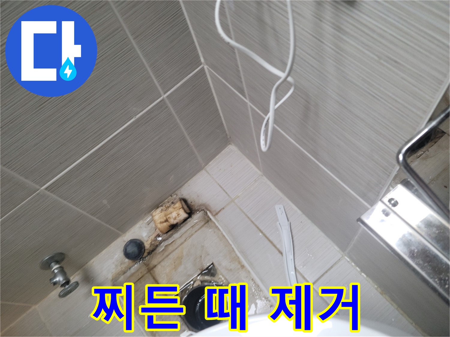 욕실 하수구 주변 - 찌든 때 제거 작업