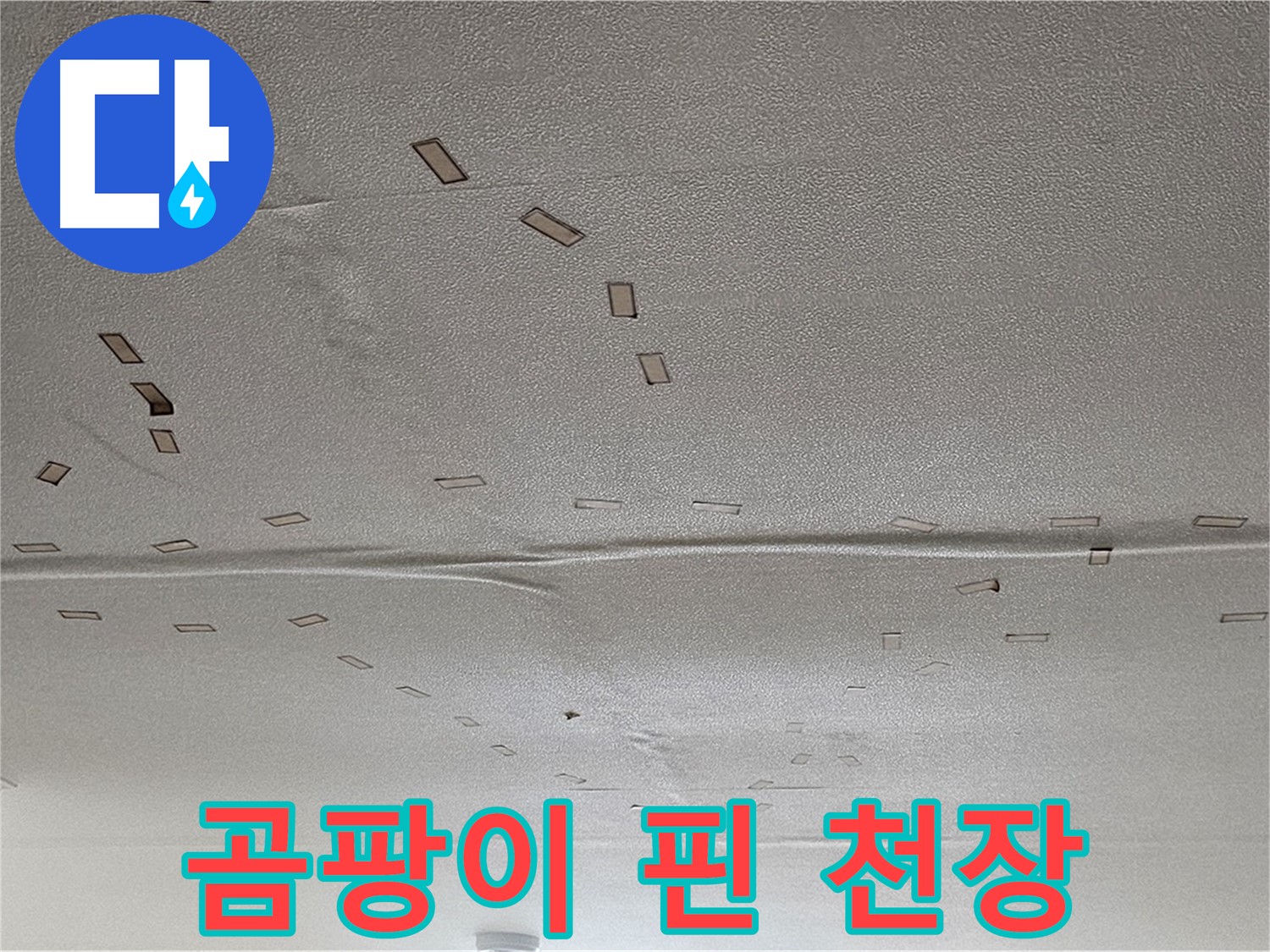 도봉구 도봉동 현대시티 아파트 - 곰팡이 핀 천장 - 긴급 누수 해결 필요