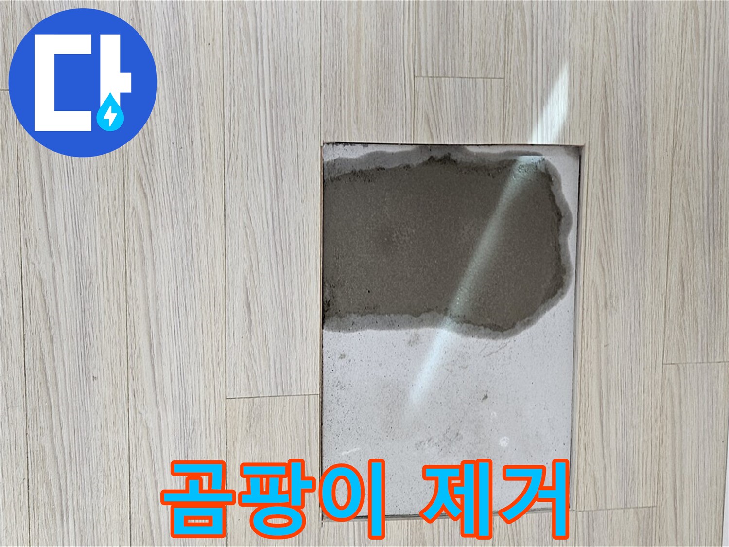도봉구 현대시티 마루 곰팡이 - 싹 다 잡아드립니다