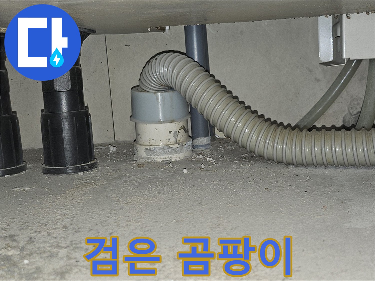 도봉동 누수 - 싱크대 배수관 백시멘트 틈새 검은 곰팡이