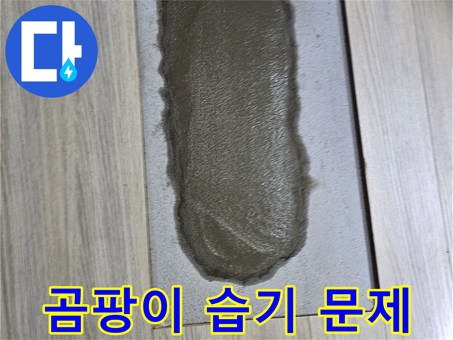 도봉동 누수 해결 - 덜 마른 시멘트 위 곰팡이? 습기가 문제!