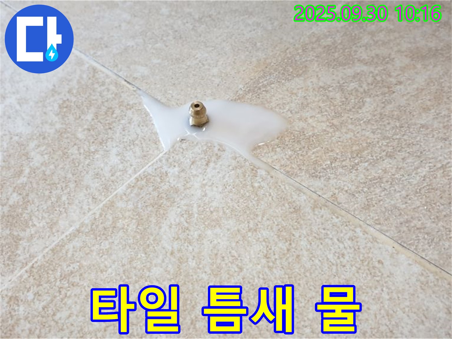 양주시 광적면 석우리 누수 현장 - 타일 틈새에서 물이 스며 나오는 모습입니다.