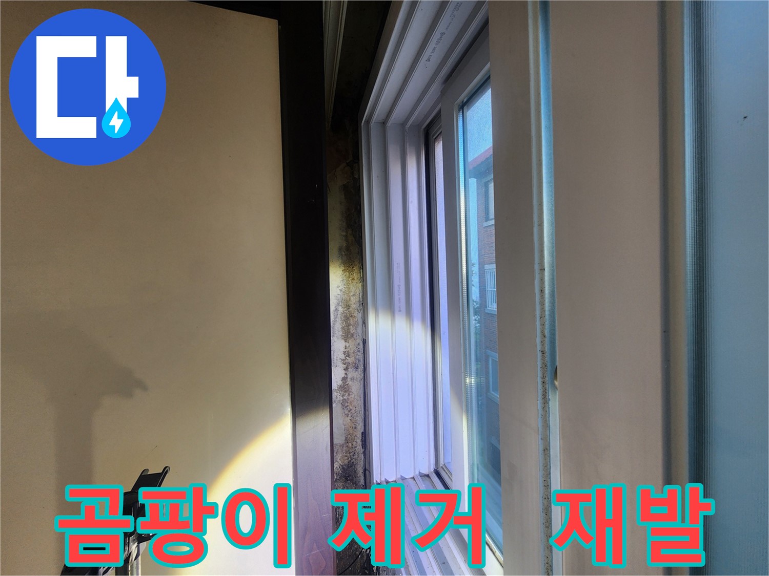 공릉동 창문 곰팡이 문제 - 건강 위협 및 재발 방지 중요