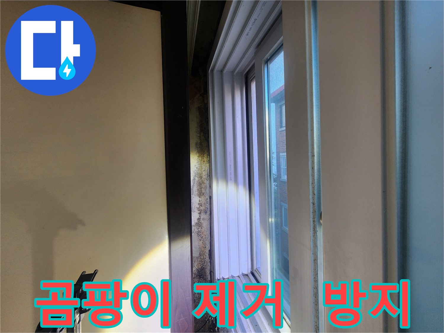 창문 주변 곰팡이 - 곰팡이 제거 및 재발 방지 필요