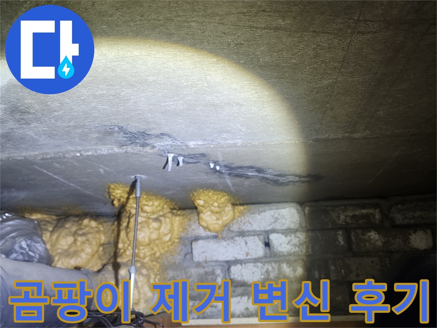 벽 누수 곰팡이 완벽 제거 쾌적한 공간으로 변신 성공 후기