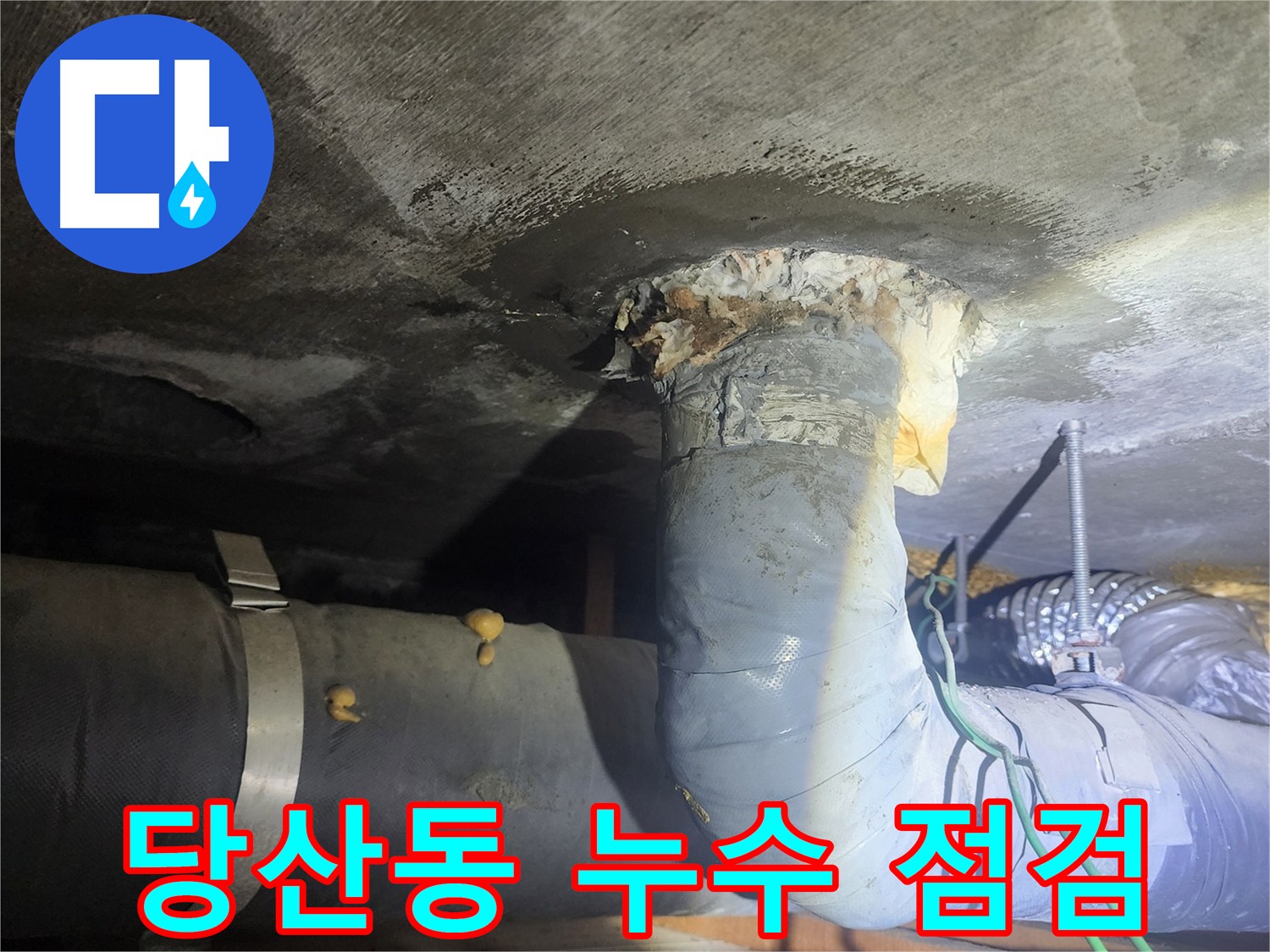 영등포구 당산동 하수 배관 누수 증상 확인 사진