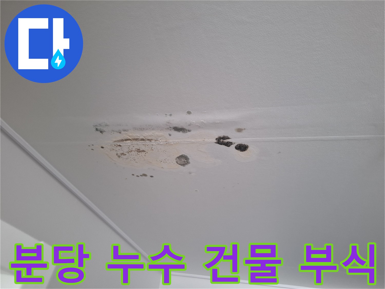 누수 - 건물 내부 부식 시작, 안전 점검 필수