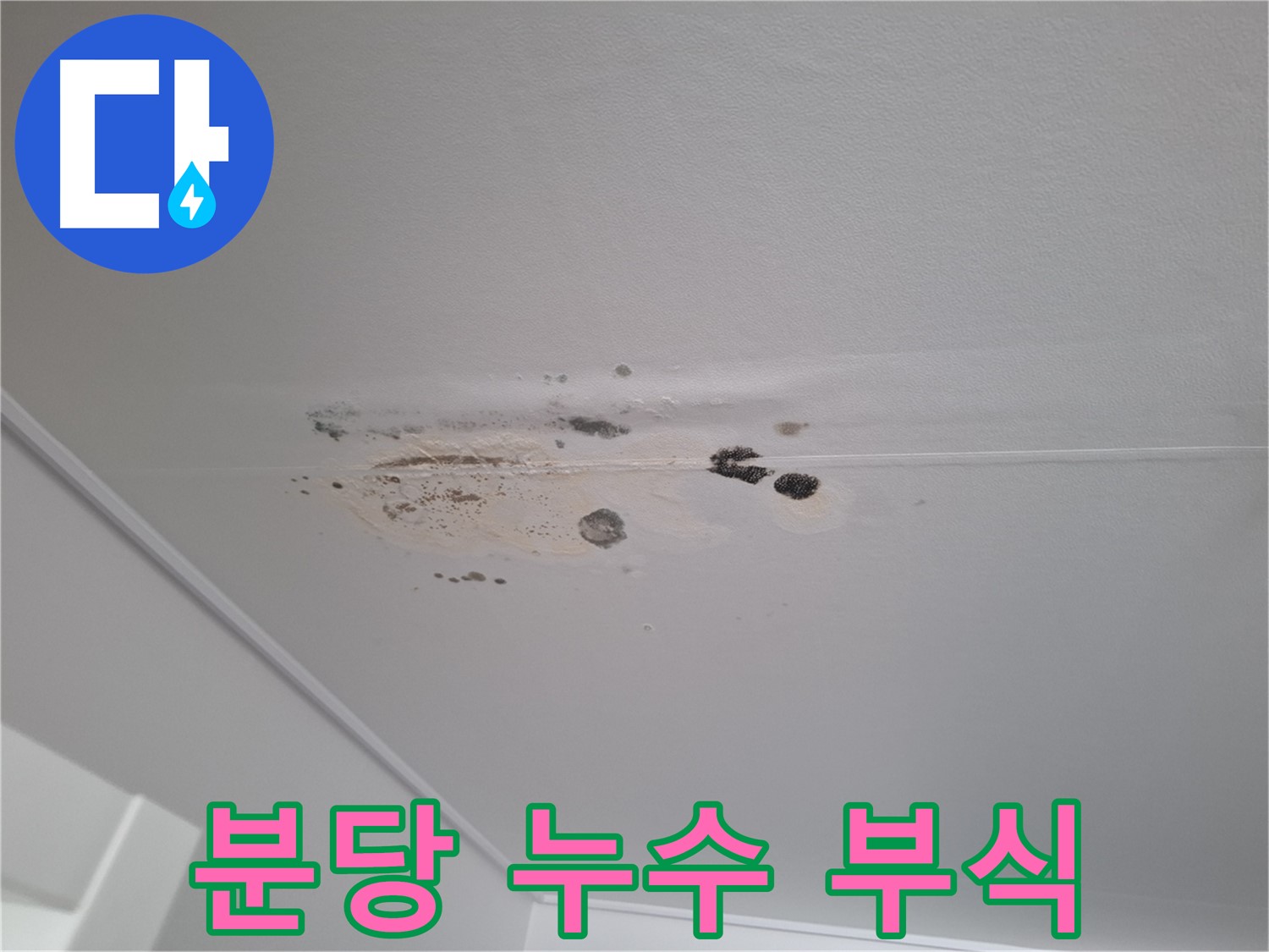 누수 - 건물 부식, 안전 점검 필수!