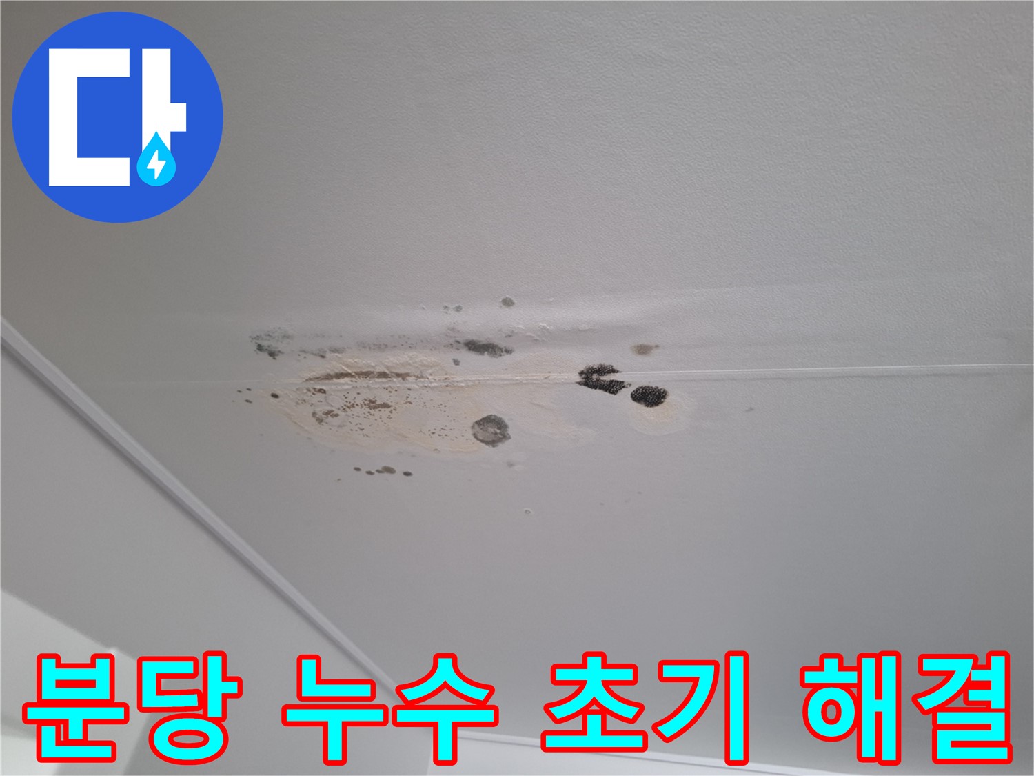 누수 곰팡이 초기 - 빠른 해결, 비용 절감 효과
