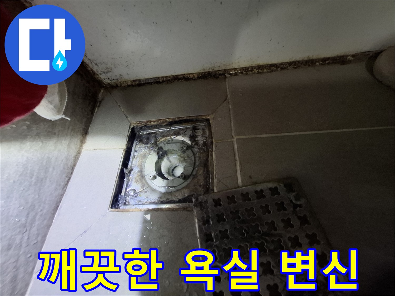 봇들마을2단지 아파트 욕실 - 곰팡이 완벽 제거, 깨끗한 욕실 변신